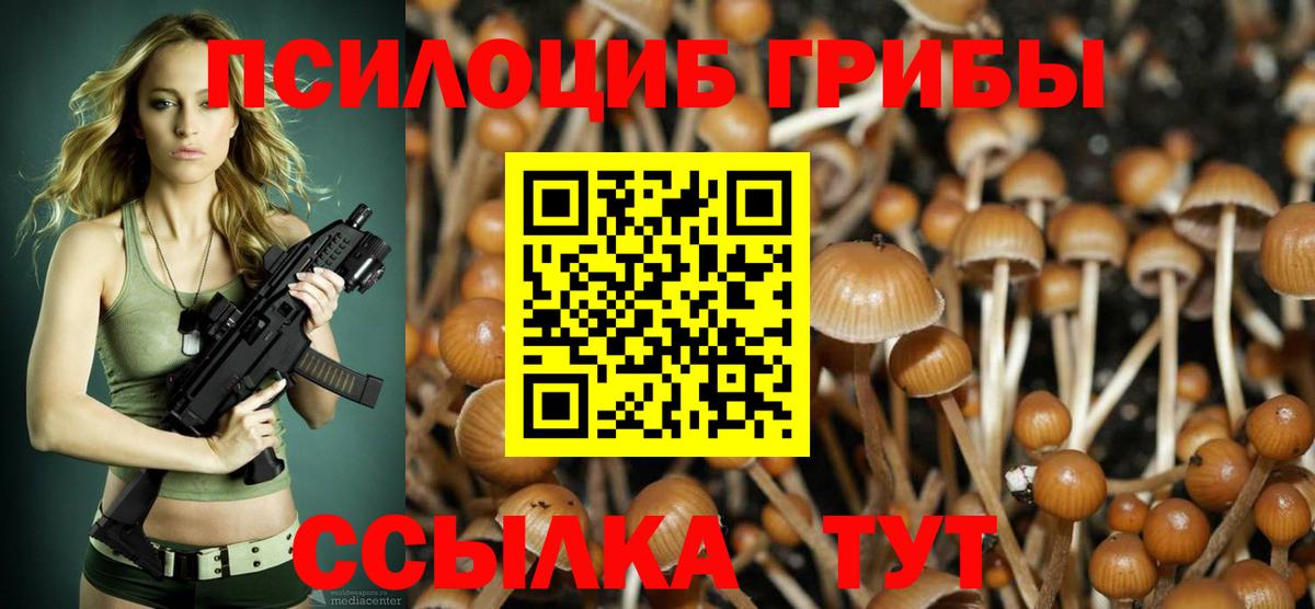 Галлюциногенные грибы мицелий  Вход с VPN  Псилоцибиновые грибы Psilocybe  Зима 